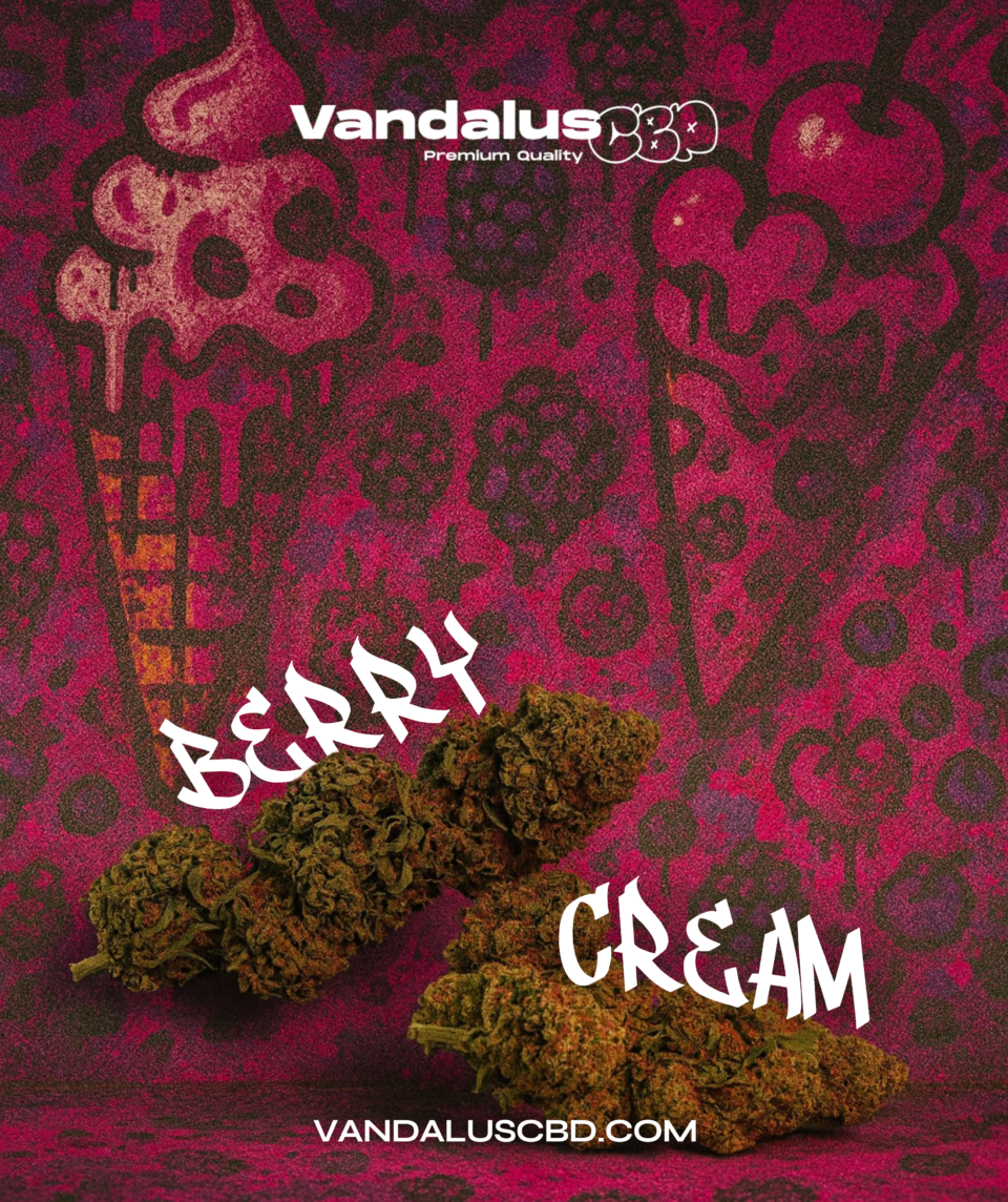 Berry Cream, una variedad exclusiva que combina elegancia visual y una experiencia aromática irresistible.