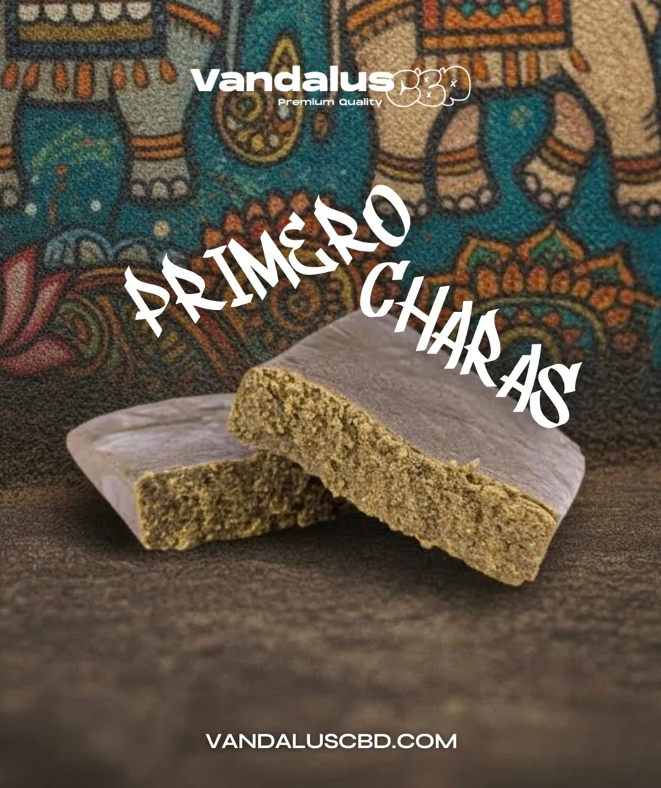 Primero Charas VandalusCBD
