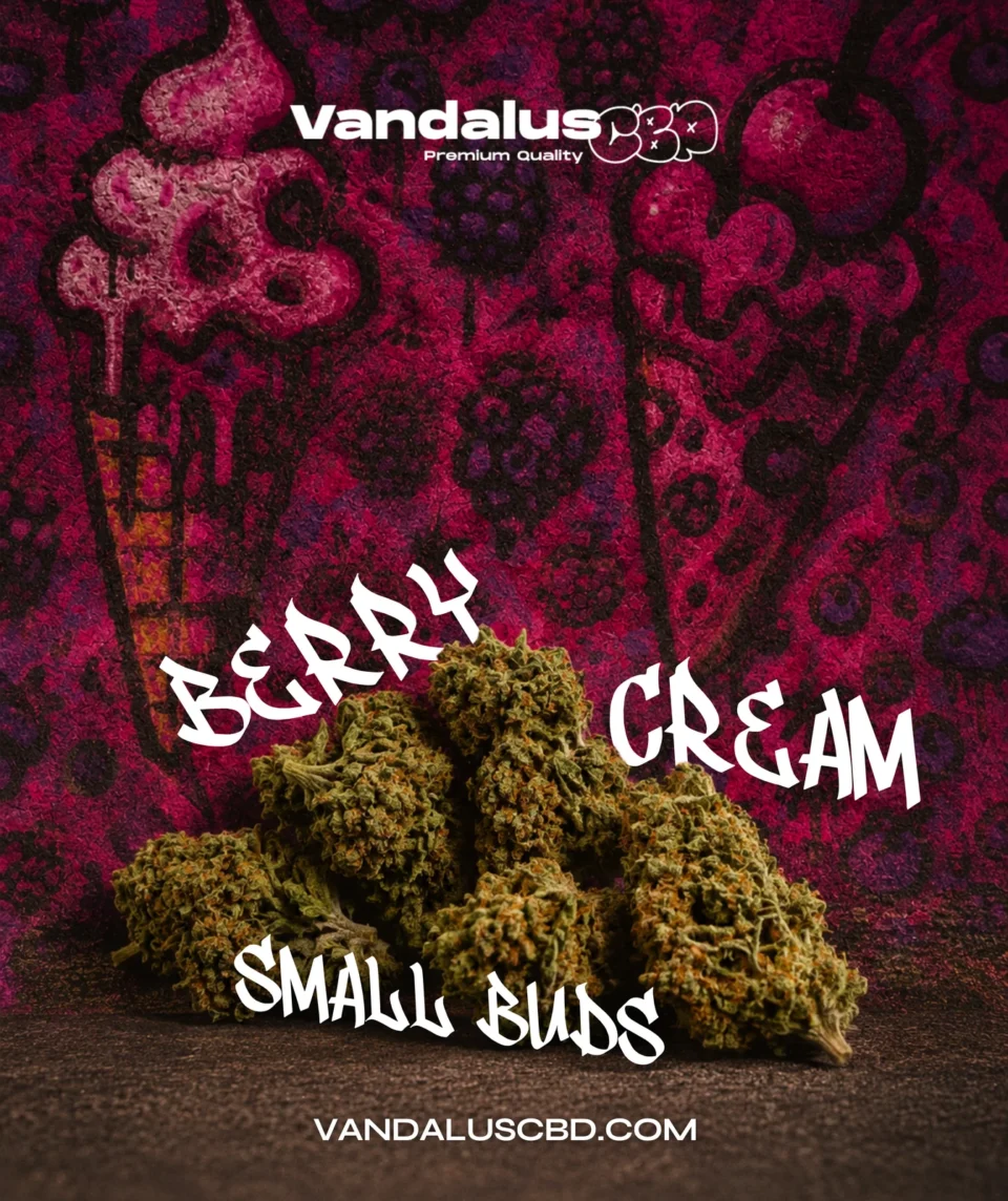 Berry Cream Small Buds