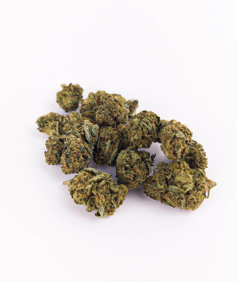 Berry Cream Small Buds CBD