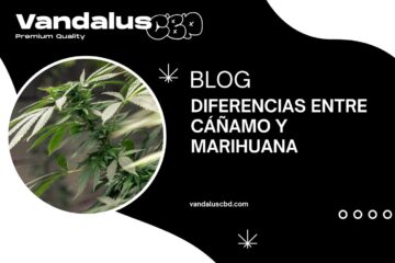 Diferencias entre cáñamo y marihuana