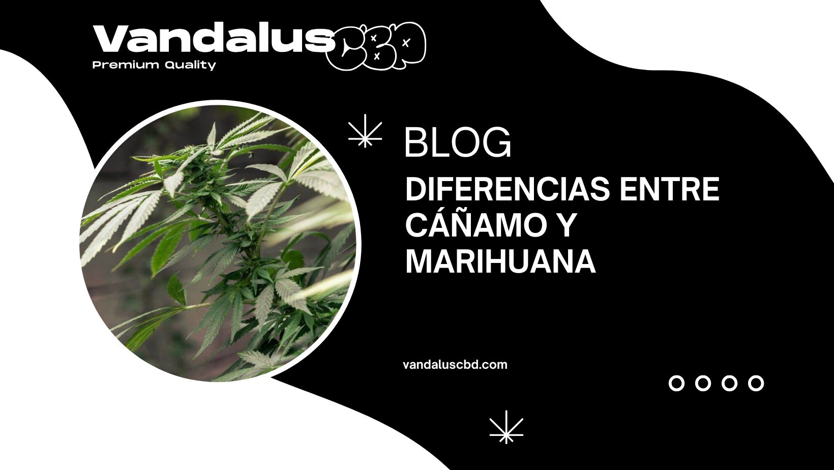 Diferencias entre cáñamo y marihuana