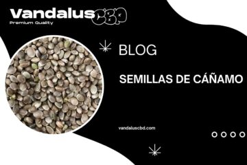 Semillas de cáñamo