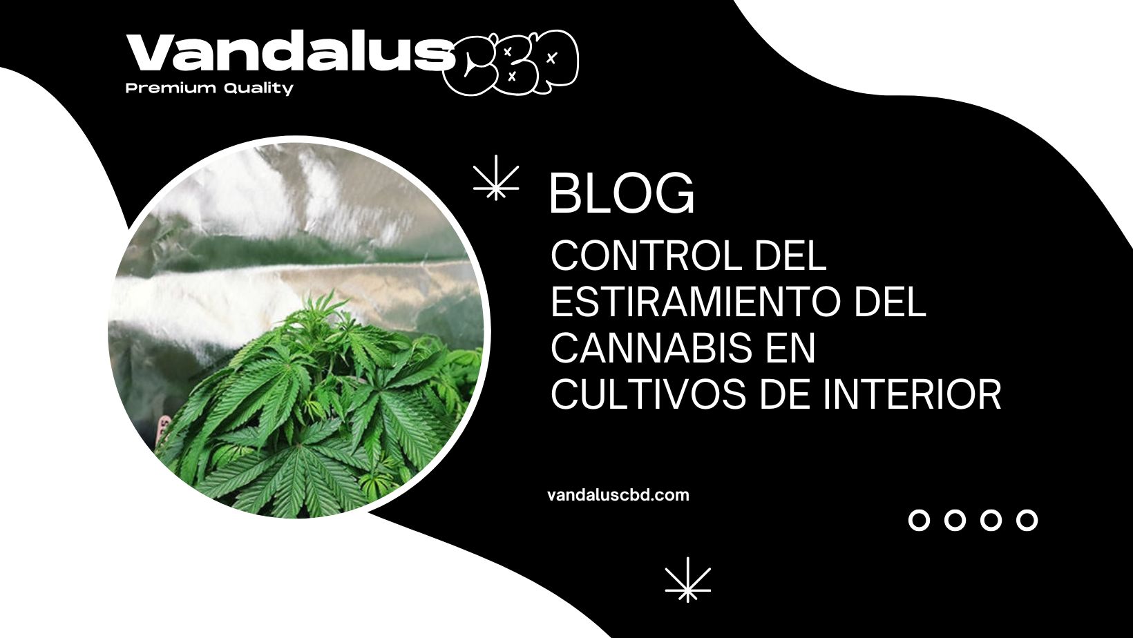 Control del Estiramiento del Cannabis en Cultivos de Interior