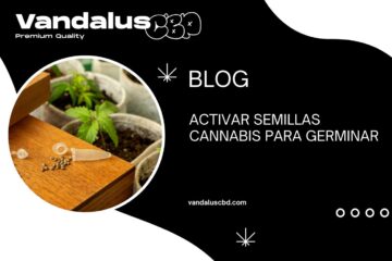 Activar Semillas Cannabis para Germinar