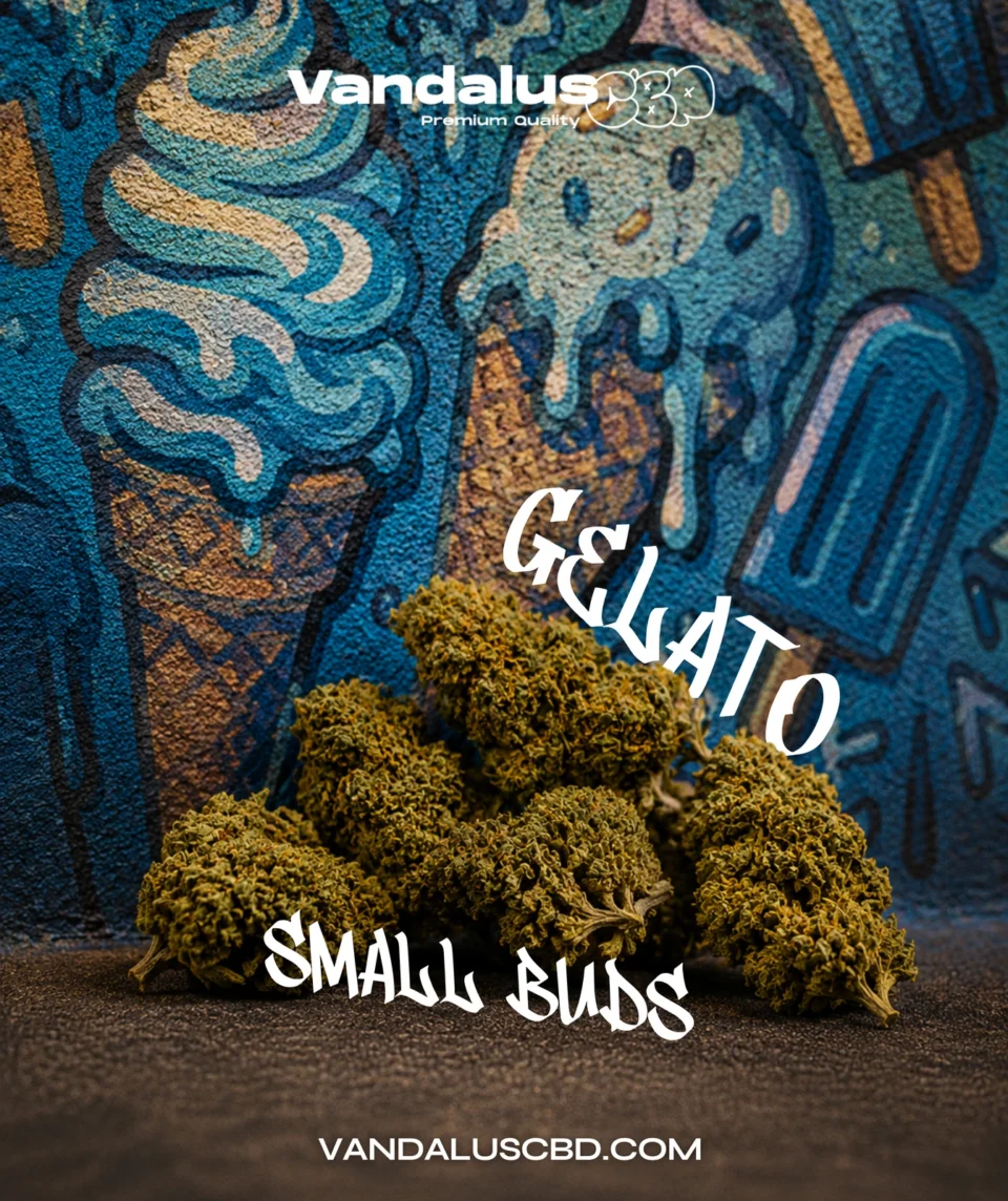 Gelato Small Buds