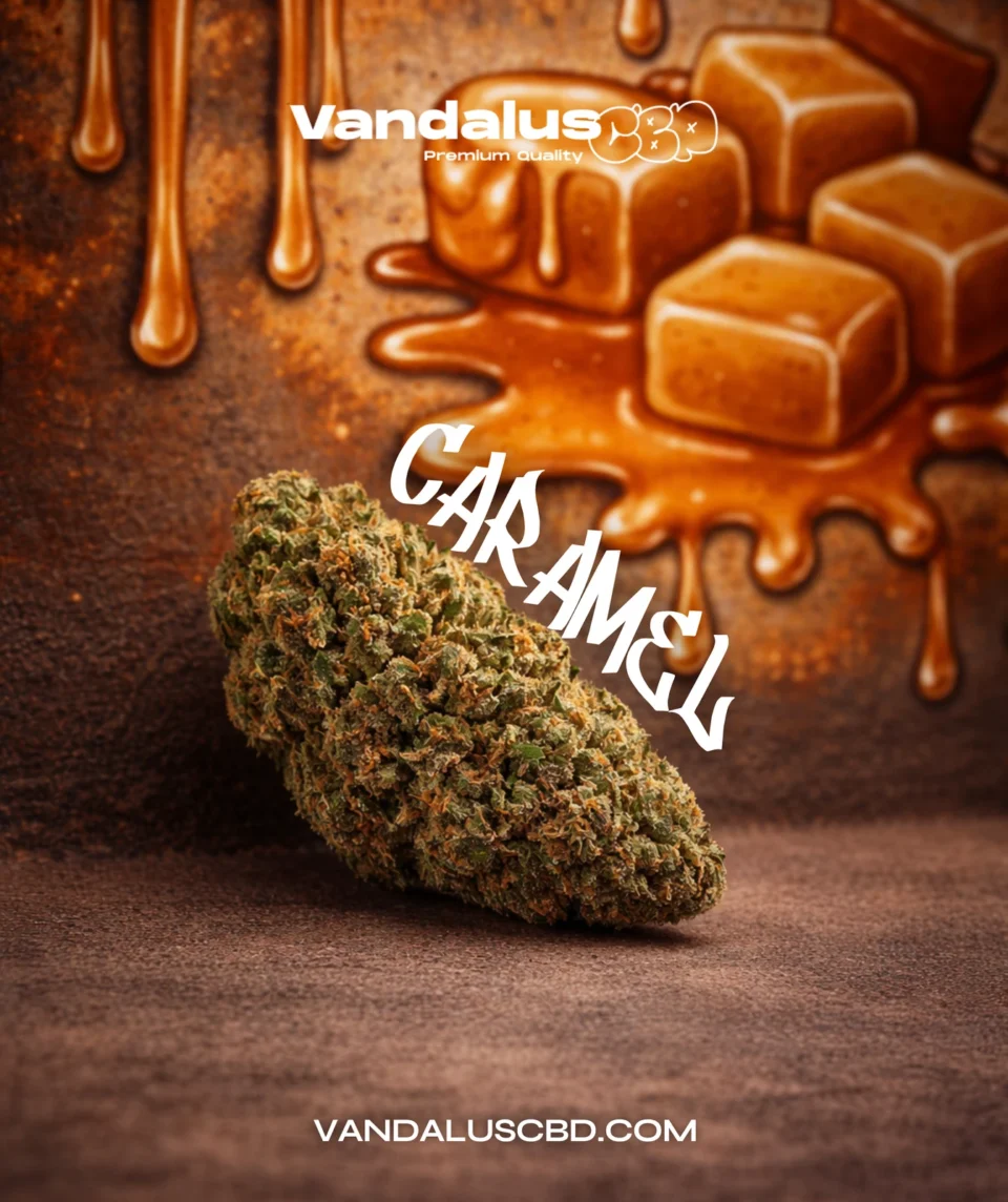 Caramel VandalusCBD