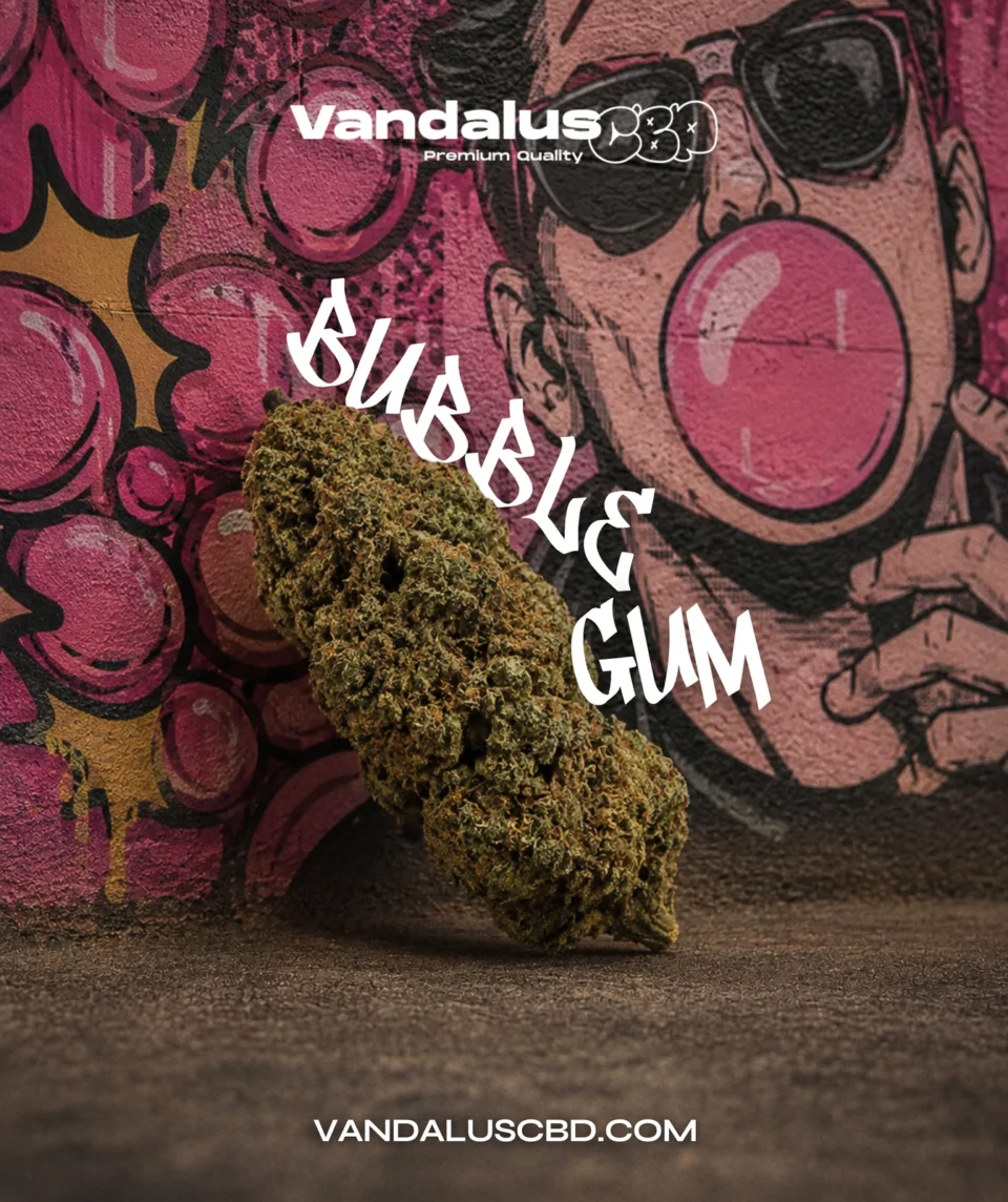 Bubble Gum VandalusCBD