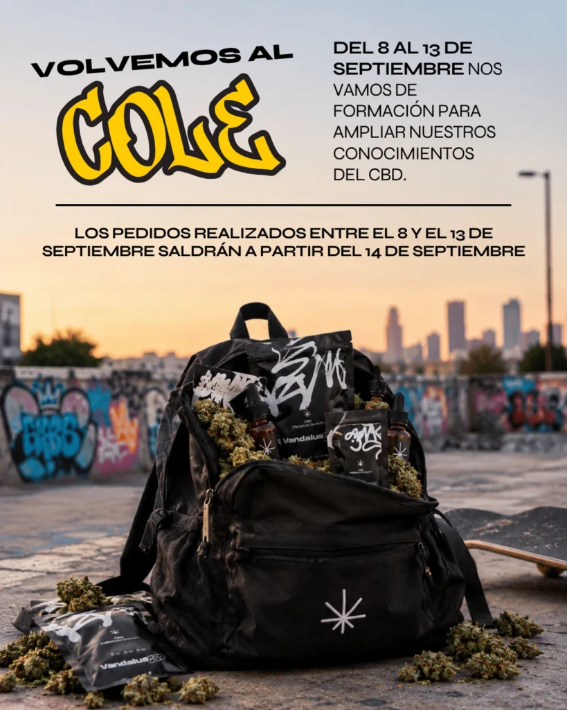 vuelta al cole (Copiar)
